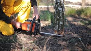 Best Lawn Drainage Solutions  in Green Island, NY