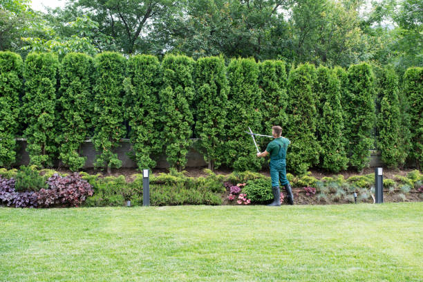Best Tree Risk Assessment  in Green Island, NY