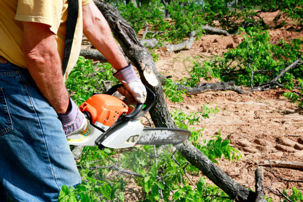 Best Soil Testing and Treatment  in Green Island, NY